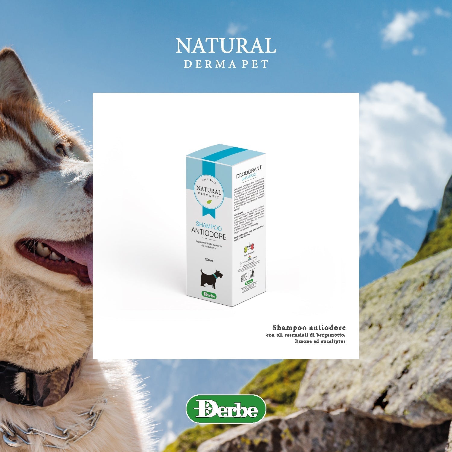 Dog Shampoo – Deodorizing with Citrus & Eucalyptus-2
