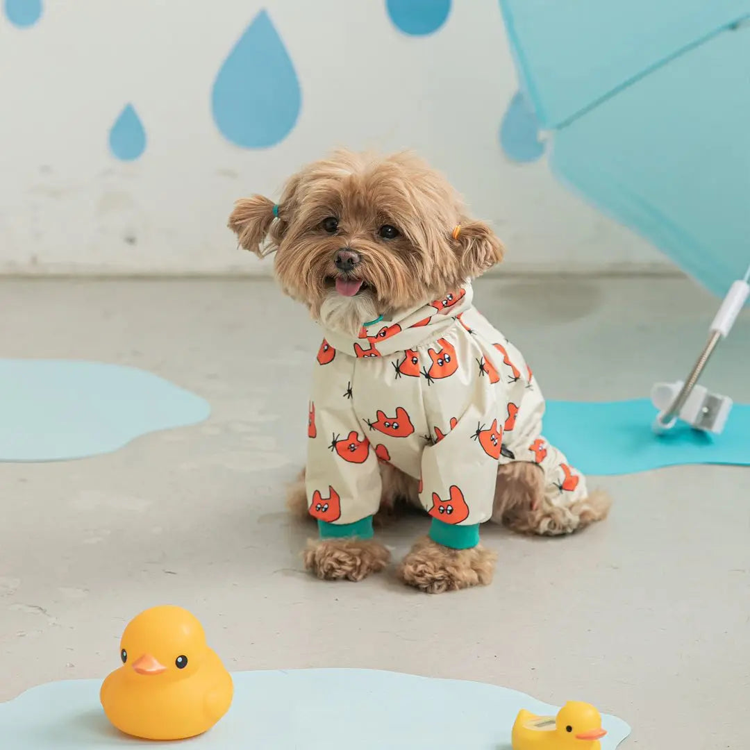 Dog wearing a raincoat with orange fox pattern in a playful setting with rubber ducks and water droplets.
