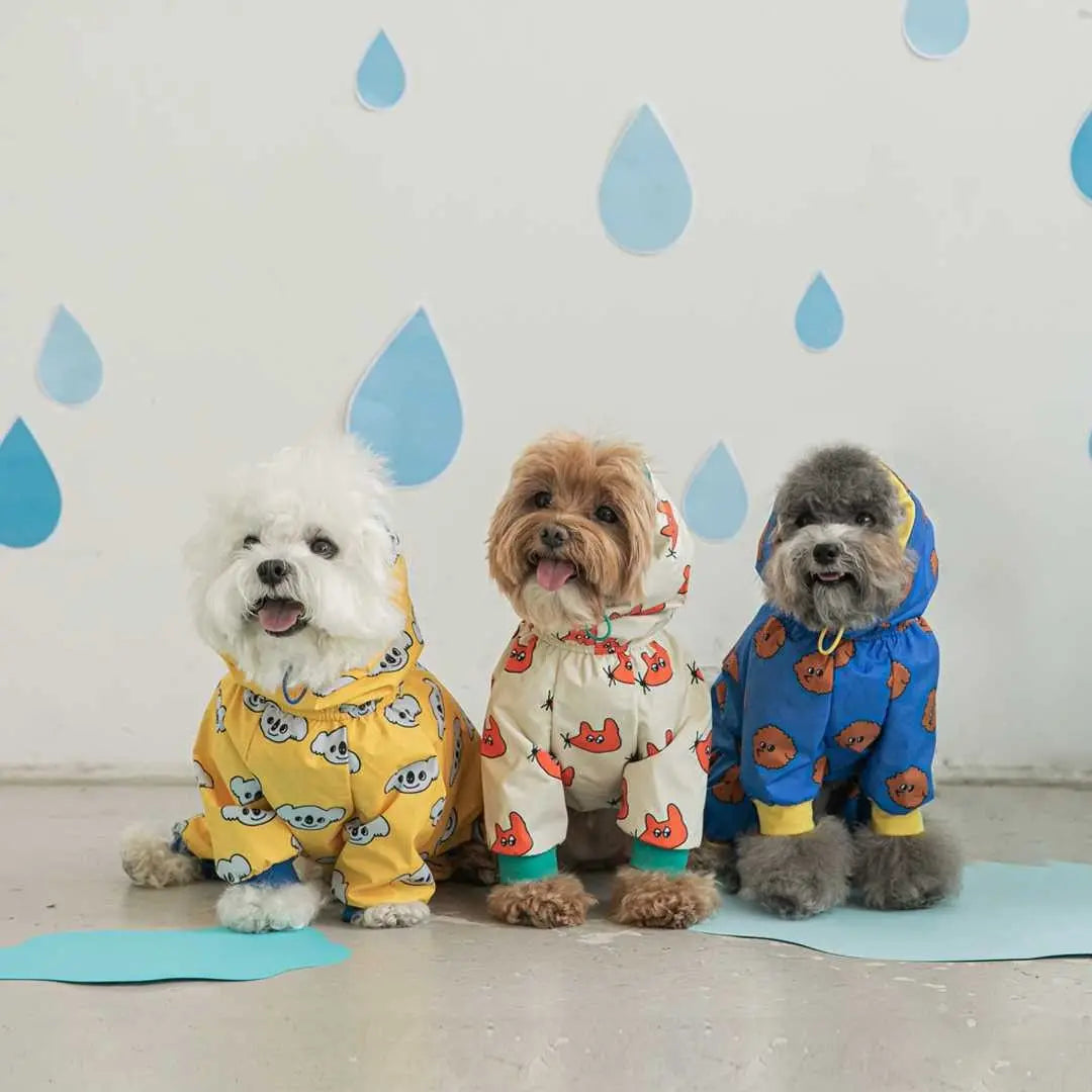Three dogs wearing colorful raincoat outfits with a raindrop pattern on the wall.