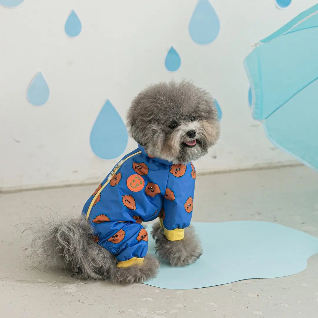 Dog wearing a blue raincoat with orange patterns on a light background