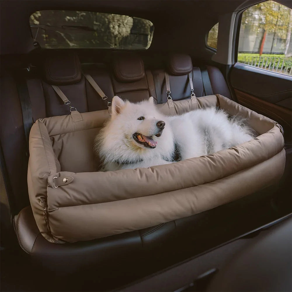 Dog sitting in a pet seat in a car