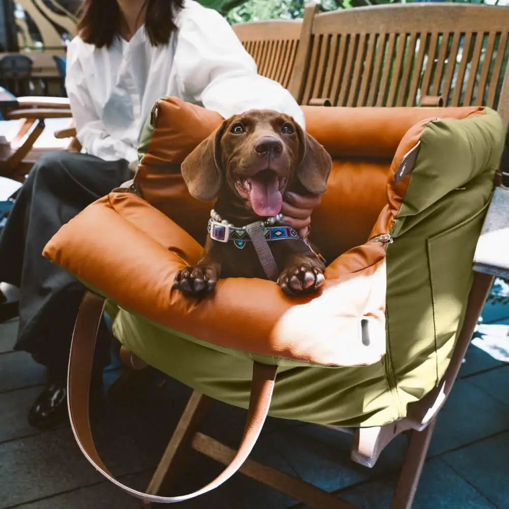 Dog sitting on a person's lap in an outdoor setting in travel bag