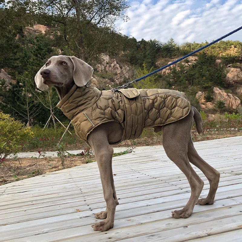 Dog wearing a brown coat standing on a wooden deck with a natural landscape in the background