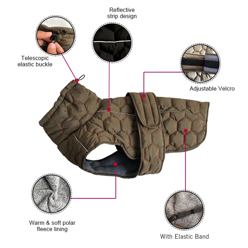 Dog coat with features highlighted on a white background